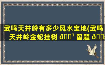 武鸣天井岭有多少风水宝地(武鸣天井岭金蛇挂树 🌹 留题 🌻 卫星图)